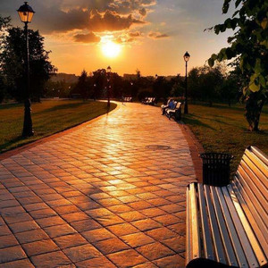 阿德征服1—5部曲
