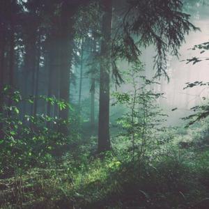 阿德征服1—5部曲
