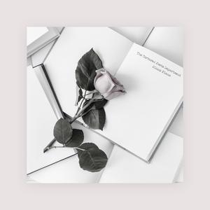 阿德征服1—5部曲
